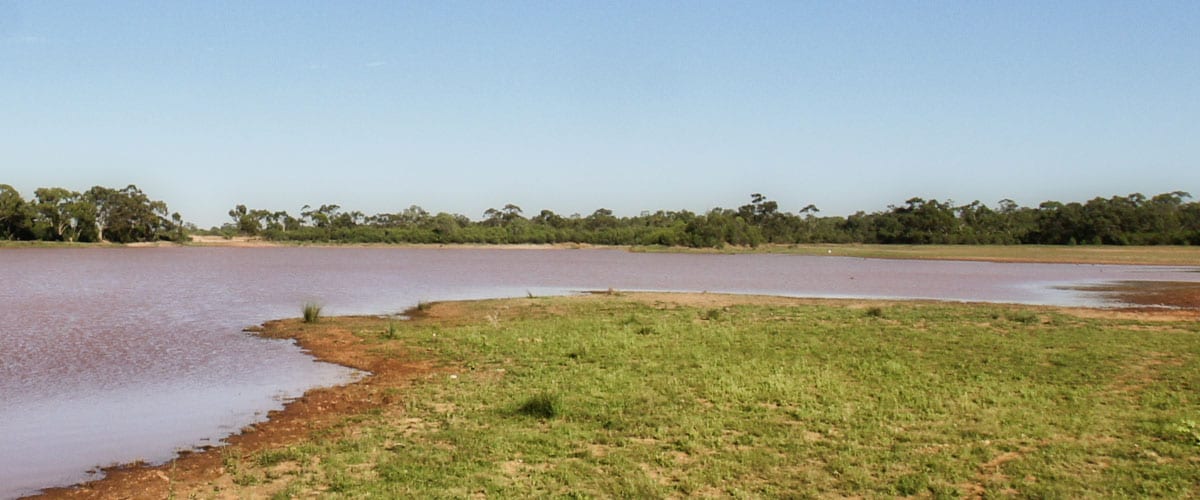 Cobar Shire Project