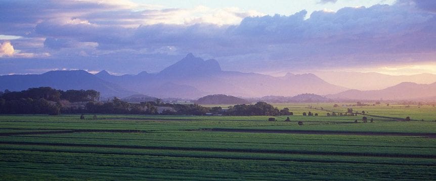 Tweed Shire Project
