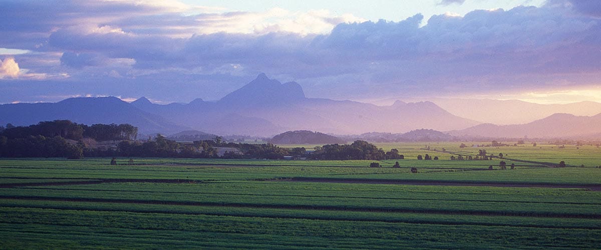 Tweed Shire Project