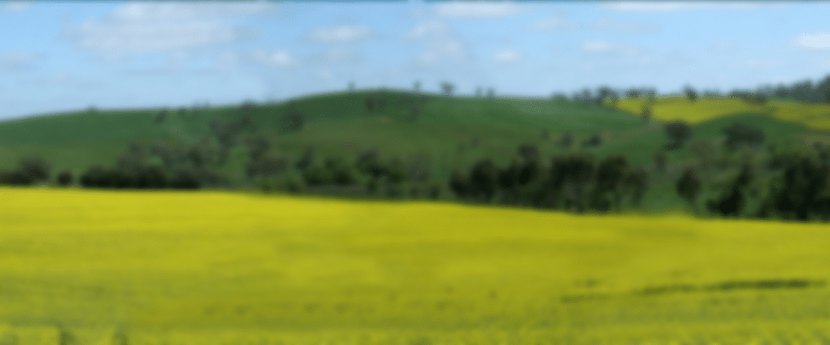 Cootamundra-Portfolio