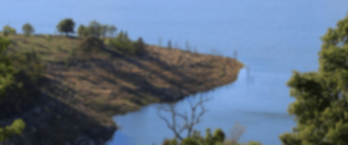 blurred-Cowra-Shire