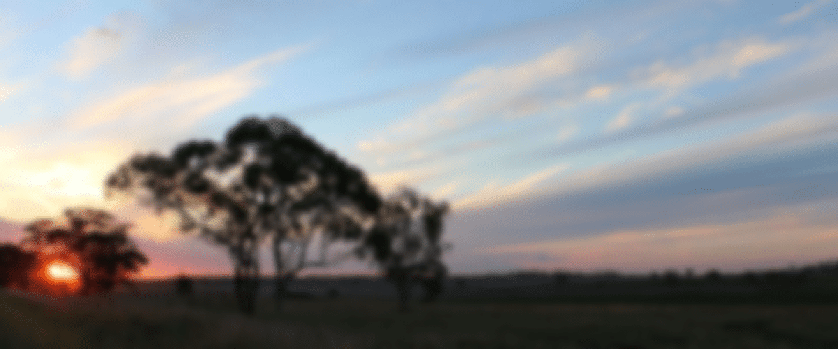 blurred-Gwydir-Shire-Portfolio
