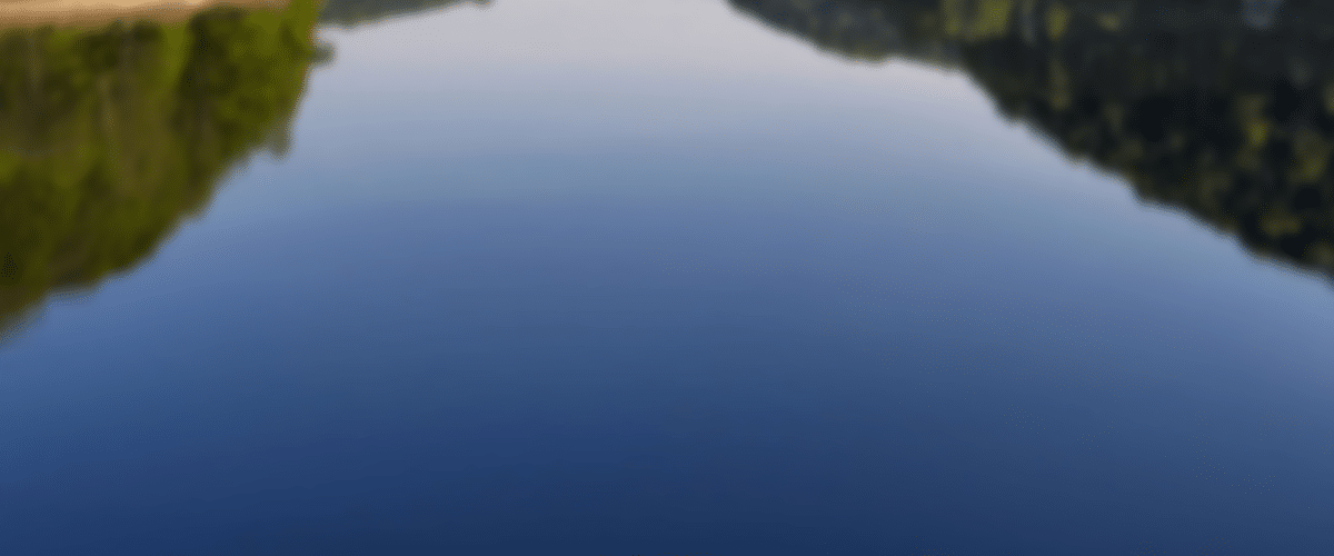 blurred-LMW-Portfolio