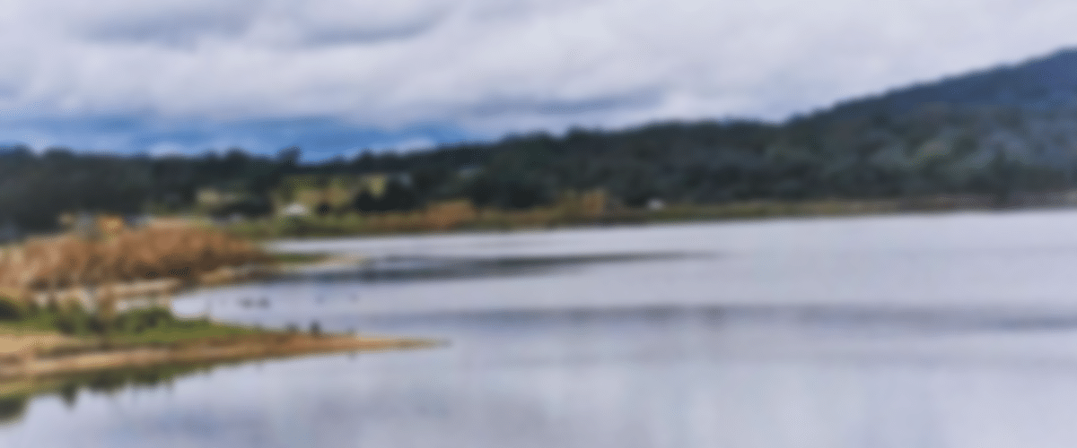 blurred-Tenterfield-Portfolio