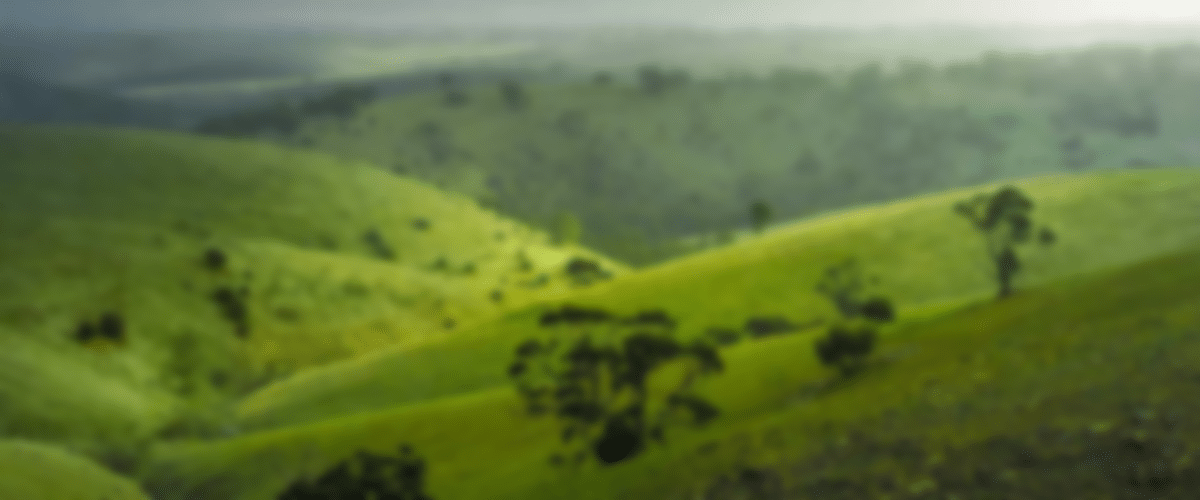 blurred_SA-Water-Portfolio