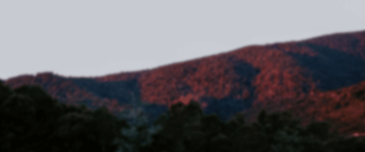 blurred_Tasmania